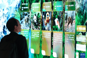 大阪世博会中国馆开馆