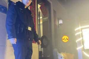 “毛孩子”意外走失，南岗警方温情上演“极速救援”