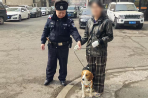 一边帮找狗，一边教养狗！南岗警方全力倡导“文明养犬”