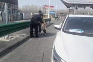 春雷行动护路畅 暖心救助显担当