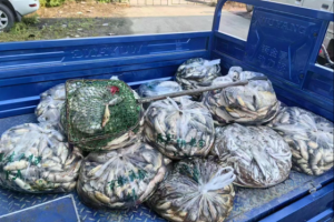 【春雷行动】守护松花江生态 冰城公安让“电鱼”行为无处遁形