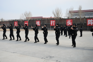 从街头到巷尾 冰城公安全域防控守护万家灯火