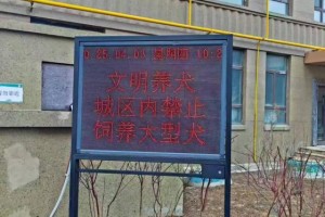 冰城公安喊你“牵绳铲屎”啦！