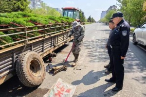 暖心救助“加速度” “走心”服务不止步