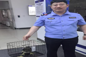 警民携手护生态：通达派出所民警成功解救国家二级保护动物夜鹭