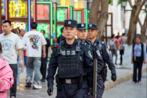 冰城公安：全方位巡控协同  为城市平安加上“多重保险”