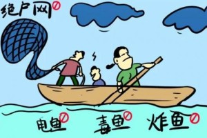 冰城公安提示：认清炸鱼毒鱼危害  共护水域生态安全