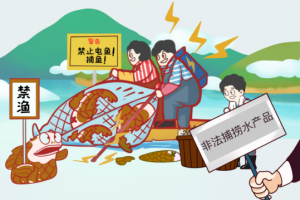 冰城公安小课堂：详解非法捕捞的法律责任与后果