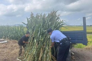 秋风送暖 民警助农解忧