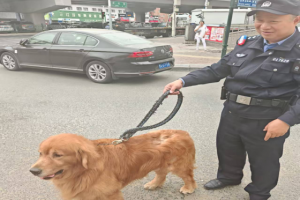大成派出所民警巡逻中帮助群众找回走失爱犬 践行“为民服务”初心