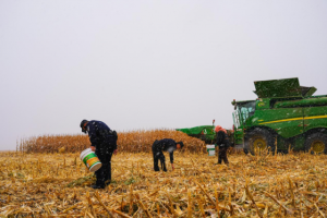 风雪为令  冰城公安浴“雪”守护平安路