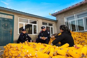 黑土地上普法忙！  冰城公安倾力织密秋收“法治防护网”