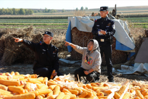 护秋收 “警”相随！  道外公安深入田间地头开展安全宣讲