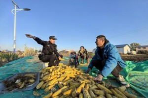 田间地头话平安 普法宣传进村入户