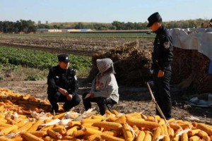 道外公安：下好主防“先手棋”  夯实社区警务平安根基