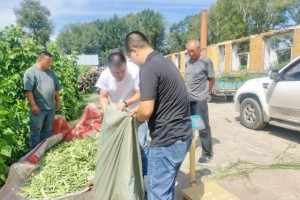 铁力市王杨乡：党建联建赋能“初心红”  政企携手激活乡村振兴“新势能”