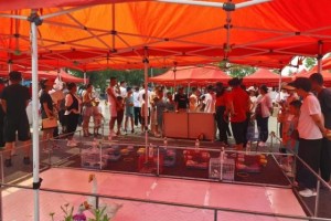 王杨乡：文明实践润乡土 实干担当促振兴