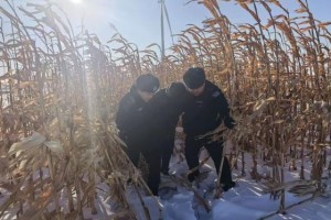 七小时生命接力：科技与脚步织就的深夜救援网