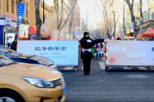 向“安”而行 向“畅”而治  冰城公安现代化治理赋能城市发展