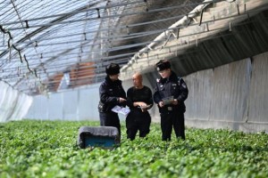 守好“耕地中的大熊猫”  冰城公安全方位筑牢黑土地保护屏障