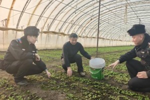 哈市呼兰警方：田间地头“警”色忙 护航春耕正当时