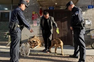宾县公安局开展文明养犬宣传活动 筑牢辖区安全文明防线