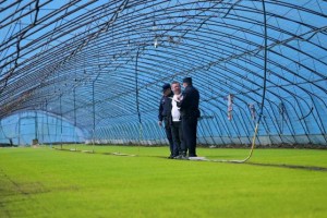 道外公安：普法入脑更入心  守护“耕地中的大熊猫”