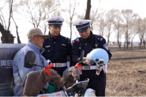 凌晨五点半的田间地头  藏蓝身影守护春耕农忙路