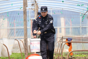冰城公安：深耕“田间警务”护航播种路