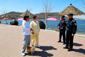 柔性执法显温情 文明养犬暖冰城