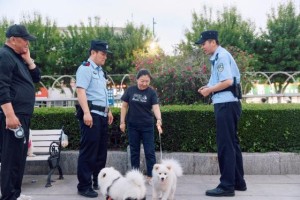 小细节见大文明  冰城公安用心破解养犬“烦心事”