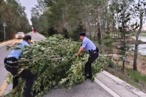 暖心警事传递温情 冰城公安用心守护  百姓安宁