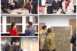 鹏鸿沈阳家博会，传奇新品板材首发，颜质双优超越所见