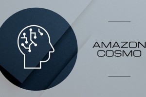 任小姐出海战略咨询｜抓住亚马逊Cosmo算法红利：精细化用户洞察与营销策略