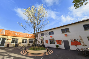 解锁工业游新姿势｜思乐得白玉兰盛放，春日打卡正当时