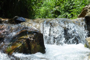祥农嫂生态食品：乡野本真滋味，自然馈赠之选