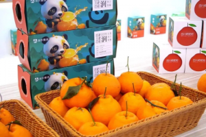 深农投集团携全球优质农产品及创新供应链体系亮相消博会