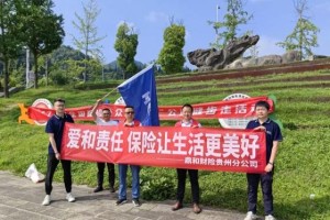 鼎和保险贵州分公司多维联动 深耕7.8保险宣传日 以爱与责任书写保险担当