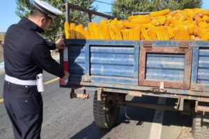农用车辆“穿”上反光衣 平安护航秋收路