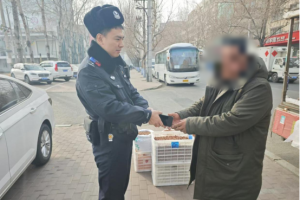 南岗分局民警巡逻中连助游客寻回失物