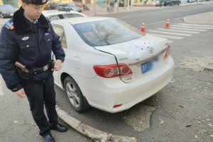 南岗分局民警巡逻中快速响应 树枝砸车引险情 警民联动化危机