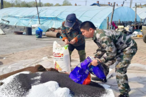 铁力市王杨乡：“三新”举措  赋能主题党日提质增效