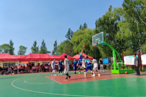 伊春市铁力市王杨乡建设村：和美乡村  “三部曲”，建设美丽宜居“新家园”