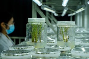 联播+｜从“破立”之道看科研人才进阶之路