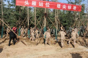 不负春光 添绿山河！走进多部队义务植树现场