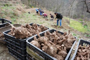 专访郑功成：建议给农村70岁以上老人发“历史贡献养老金”