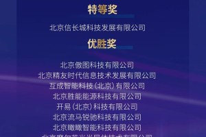 创客北京2024 | 神州数码• 高科数聚汽车行业大数据驱动决策专项赛决赛在京圆满落幕