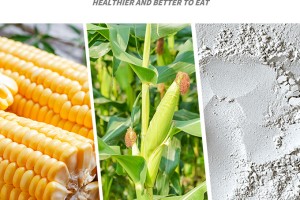 凤球唛玉米淀粉：永益食品匠心之作，家庭调味好选择