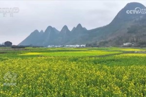 脱贫这五年｜从“悬崖边”到“幸福庄”，看大山深处布楞沟村的蝶变