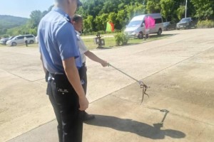 端午游园遇险情！民警快速擒蛇除隐患守护假期平安